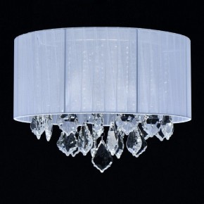 Накладной светильник MW-Light Жаклин 14 465015904 в Когалыме - kogalym.mebel24.online | фото 3