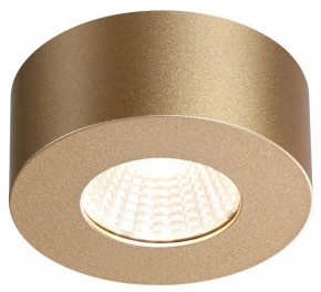 Накладной светильник Odeon Light Bene 4284/7CL в Когалыме - kogalym.mebel24.online | фото 4