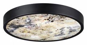 Накладной светильник Odeon Light Bergi 5064/30L в Когалыме - kogalym.mebel24.online | фото 4