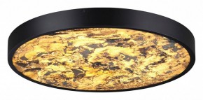 Накладной светильник Odeon Light Bergi 5064/40L в Когалыме - kogalym.mebel24.online | фото 2