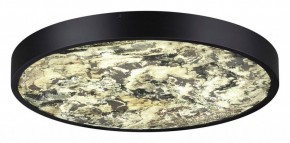Накладной светильник Odeon Light Bergi 5064/40L в Когалыме - kogalym.mebel24.online | фото 3