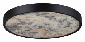 Накладной светильник Odeon Light Bergi 5064/40L в Когалыме - kogalym.mebel24.online | фото 6