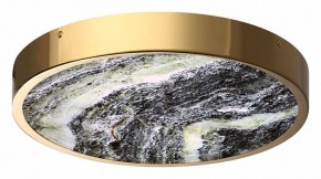 Накладной светильник Odeon Light Bergi 5079/30L в Когалыме - kogalym.mebel24.online | фото 3