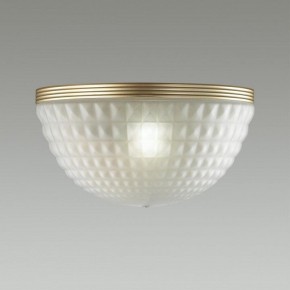 Накладной светильник Odeon Light Malaga 4936/1W в Когалыме - kogalym.mebel24.online | фото 2