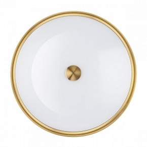 Накладной светильник Odeon Light Marsei 4824/4C в Когалыме - kogalym.mebel24.online | фото 3