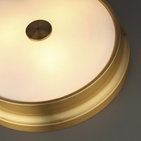 Накладной светильник Odeon Light Marsei 4824/4C в Когалыме - kogalym.mebel24.online | фото 5