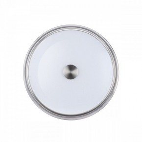 Накладной светильник Odeon Light Marsei 4825/3C в Когалыме - kogalym.mebel24.online | фото 2