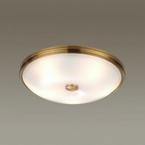 Накладной светильник Odeon Light Pelow 4956/5 в Когалыме - kogalym.mebel24.online | фото 2