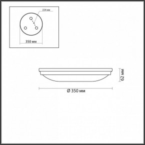Накладной светильник Odeon Light Pelow 4957/4 в Когалыме - kogalym.mebel24.online | фото 3