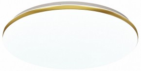 Накладной светильник Sonex Lassa 3043/DL в Когалыме - kogalym.mebel24.online | фото 2