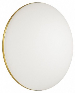 Накладной светильник Sonex Lassa 3043/DL в Когалыме - kogalym.mebel24.online | фото 4