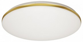 Накладной светильник Sonex Lassa 3043/DL в Когалыме - kogalym.mebel24.online | фото 5