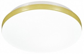 Накладной светильник Sonex Smalli 3066/AL в Когалыме - kogalym.mebel24.online | фото 4