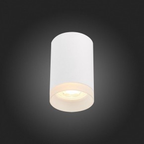 Накладной светильник ST-Luce ST100 ST100.502.01 в Когалыме - kogalym.mebel24.online | фото 4