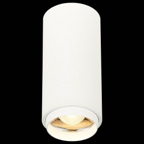 Накладной светильник ST-Luce Zoom ST600.532.10 в Когалыме - kogalym.mebel24.online | фото 4