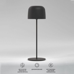 Настольная лампа декоративная Elektrostandard Bitty a069002 в Когалыме - kogalym.mebel24.online | фото 2