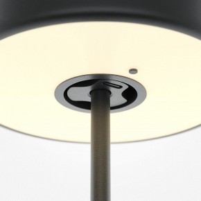 Настольная лампа декоративная Maytoni AI Collaboration MOD229TL-L3B3K2 в Когалыме - kogalym.mebel24.online | фото 5