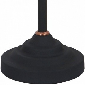 Настольная лампа офисная Arte Lamp Braccio A2054LT-1BK в Когалыме - kogalym.mebel24.online | фото 4