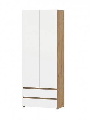НЕКСТ 1 Шкаф двухстворчатый с ящиками в Когалыме - kogalym.mebel24.online | фото