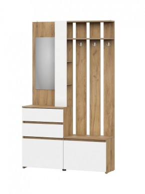 НЕКСТ 1 Вешалка с зеркалом + Шкаф 2-х ств. с ящиками в Когалыме - kogalym.mebel24.online | фото 4