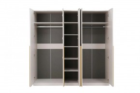 НИКОЛЬ 25 Шкаф 5-ти створчатый в Когалыме - kogalym.mebel24.online | фото 3