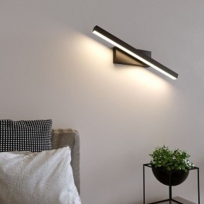 Подсветка для картины Elektrostandard Rino a061222 в Когалыме - kogalym.mebel24.online | фото 3