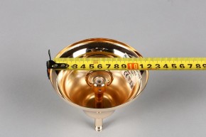Подвесная люстра Aployt Daniele APL.701.03.12 в Когалыме - kogalym.mebel24.online | фото 6