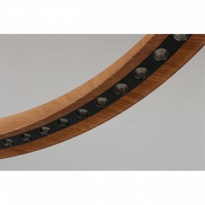 Подвесная люстра Aployt Justyna APL.787.03.75 в Когалыме - kogalym.mebel24.online | фото 10