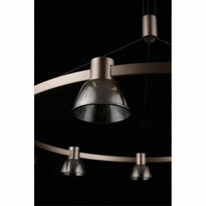 Подвесная люстра Aployt Rezeda APL.788.03.09 в Когалыме - kogalym.mebel24.online | фото 16