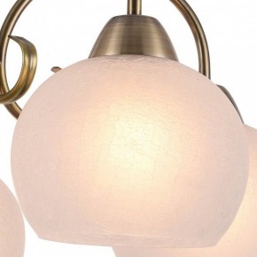 Подвесная люстра Arte Lamp Margo A9317LM-5AB в Когалыме - kogalym.mebel24.online | фото 2