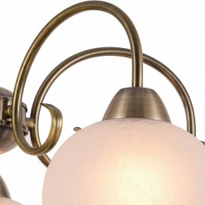 Подвесная люстра Arte Lamp Margo A9317LM-5AB в Когалыме - kogalym.mebel24.online | фото 3