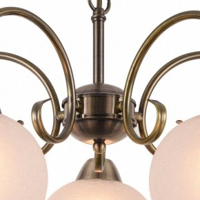 Подвесная люстра Arte Lamp Margo A9317LM-5AB в Когалыме - kogalym.mebel24.online | фото 4