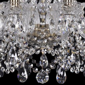 Подвесная люстра Bohemia Ivele Crystal 1411 1411/10/195/Pa в Когалыме - kogalym.mebel24.online | фото 3