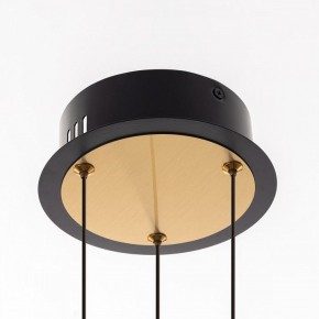Подвесная люстра Citilux HELLY CL211042 в Когалыме - kogalym.mebel24.online | фото 11