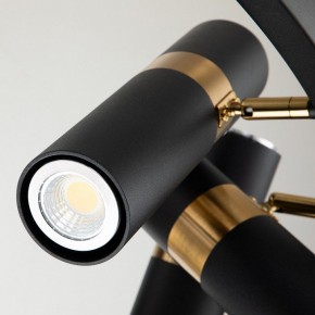 Подвесная люстра Favourite Light point 2997-9P в Когалыме - kogalym.mebel24.online | фото 5