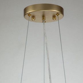 Подвесная люстра Favourite Rays 4058-14P в Когалыме - kogalym.mebel24.online | фото 11