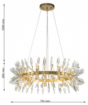 Подвесная люстра Favourite Rays 4058-14P в Когалыме - kogalym.mebel24.online | фото 7