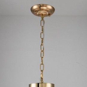 Подвесная люстра Favourite Rocca 2689-6P в Когалыме - kogalym.mebel24.online | фото 4