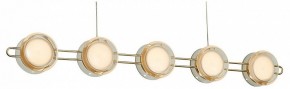 Подвесная люстра Favourite Yo-yo 4334-10P в Когалыме - kogalym.mebel24.online | фото