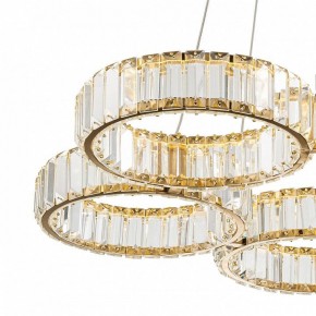 Подвесная люстра Indigo Favo V000074L в Когалыме - kogalym.mebel24.online | фото 4