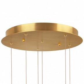 Подвесная люстра Lightstar Colore 805169 в Когалыме - kogalym.mebel24.online | фото 6