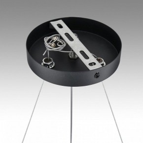 Подвесная люстра Lumion Luazana 8242/6 в Когалыме - kogalym.mebel24.online | фото 7