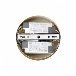 Подвесная люстра Lumion Parker 6564/60L в Когалыме - kogalym.mebel24.online | фото 6