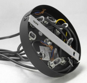 Подвесная люстра Lussole Badger GRLSP-9541 в Когалыме - kogalym.mebel24.online | фото 8