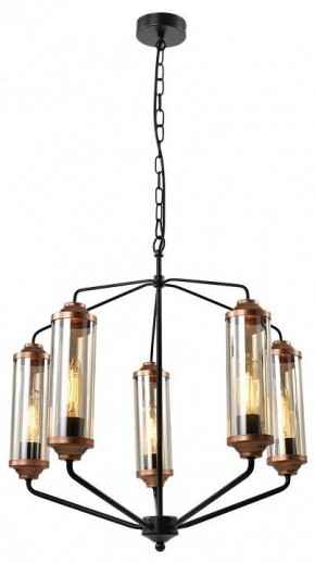 Подвесная люстра Lussole Fishers LSP-8800 в Когалыме - kogalym.mebel24.online | фото 2