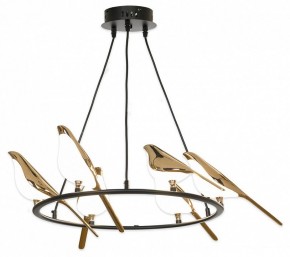 Подвесная люстра Lussole Jasper LSP-8641 в Когалыме - kogalym.mebel24.online | фото 2