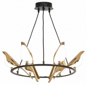 Подвесная люстра Lussole Jasper LSP-8641 в Когалыме - kogalym.mebel24.online | фото 4