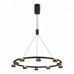 Подвесная люстра Lussole Lassen LSP-7253 в Когалыме - kogalym.mebel24.online | фото 2