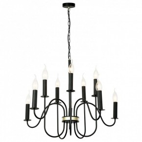 Подвесная люстра Lussole Roosevelt GRLSP-8198 в Когалыме - kogalym.mebel24.online | фото 2