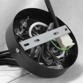 Подвесная люстра Lussole Seneca GRLSP-8177 в Когалыме - kogalym.mebel24.online | фото 10